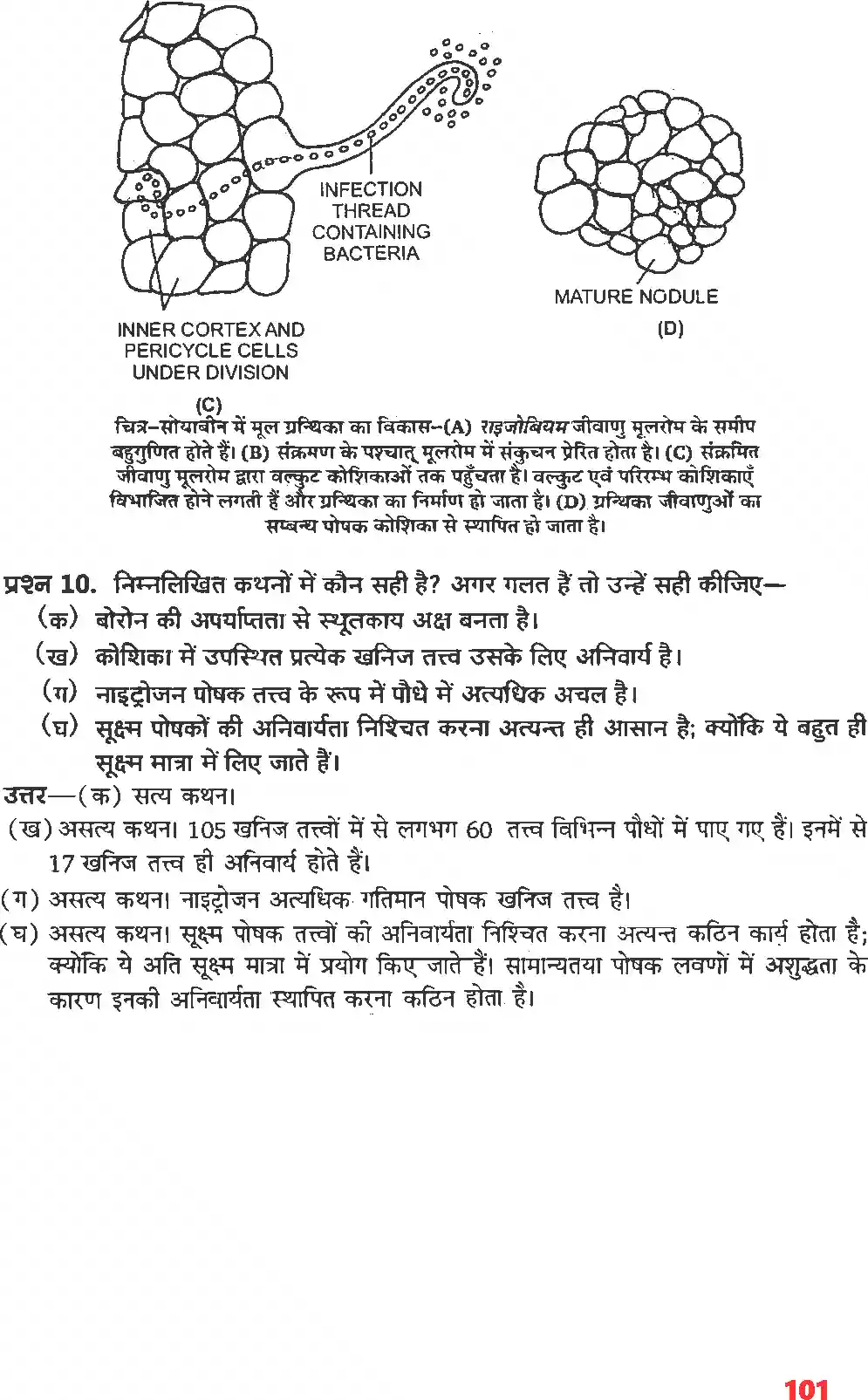 UP Board Solution 11 Biology 12. खनिज पोषण Image 4