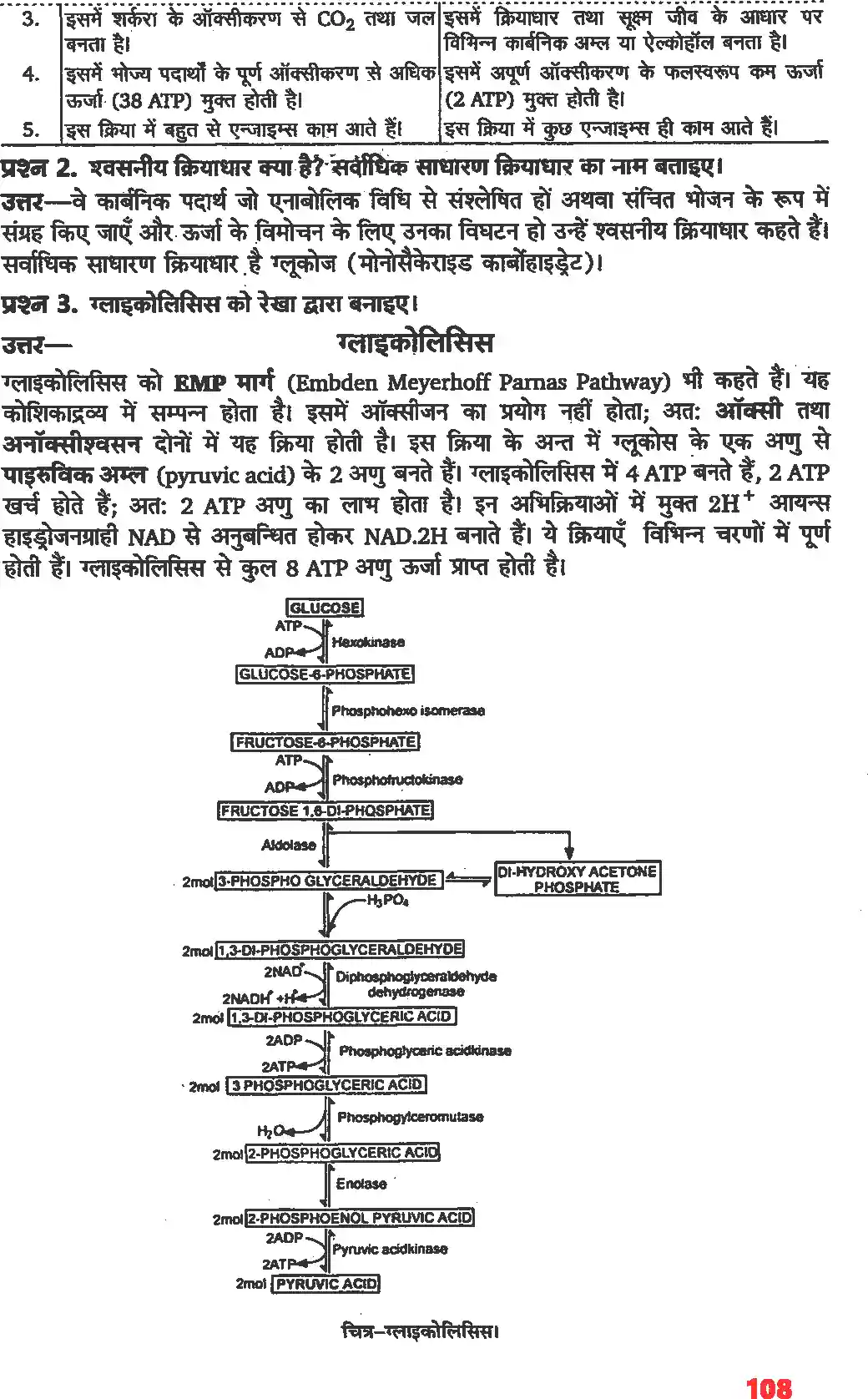 UP Board Solution 11 Biology 14. पादप में स्वशन Image 2