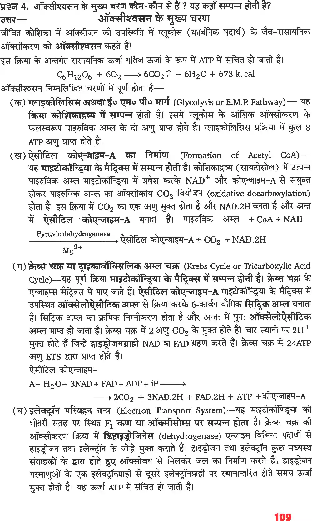 UP Board Solution 11 Biology 14. पादप में स्वशन Image 3