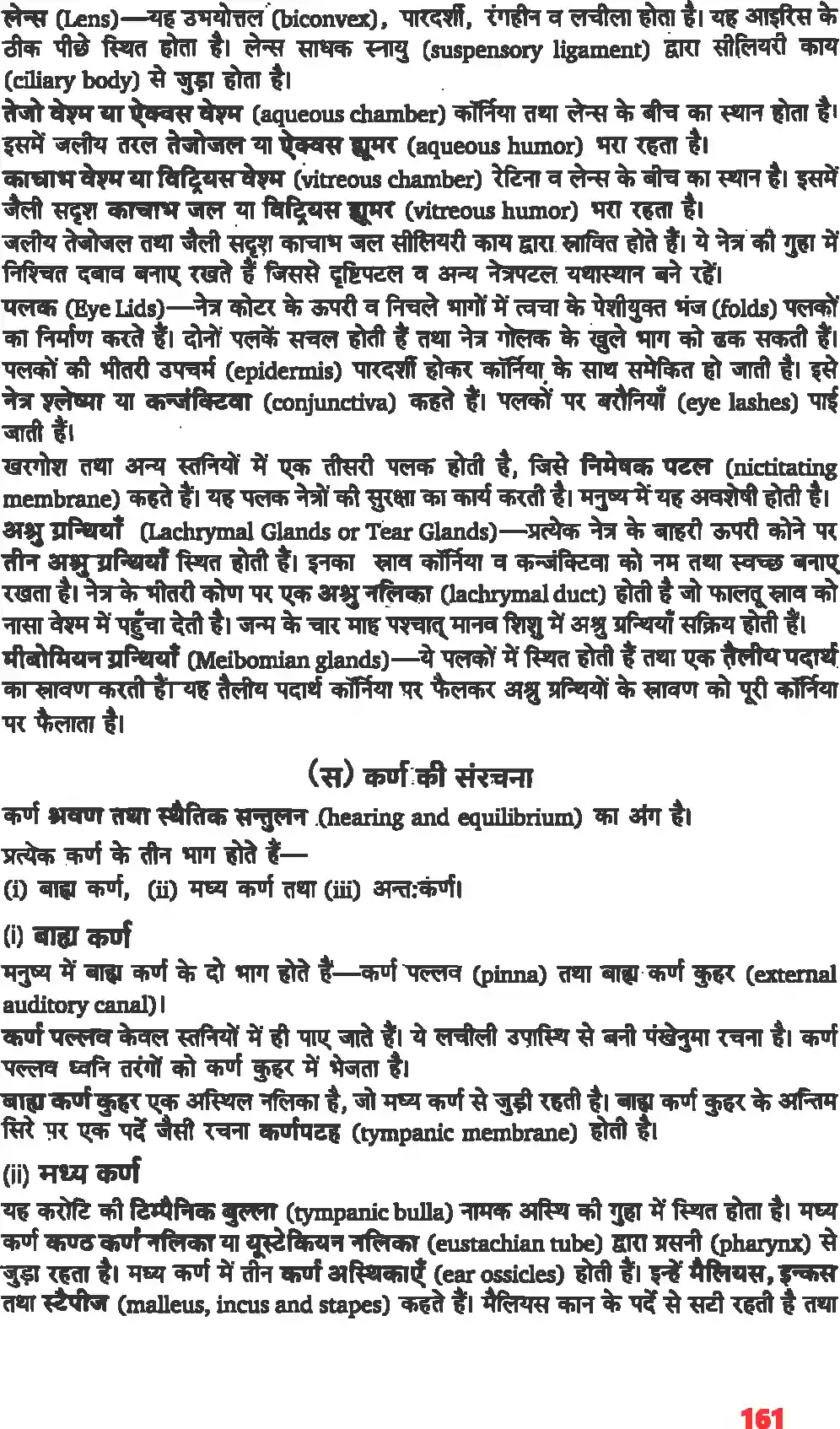 UP Board Solution 11 Biology 21. तंत्रिकीय नियंत्रण एवं समन्वय Image 5