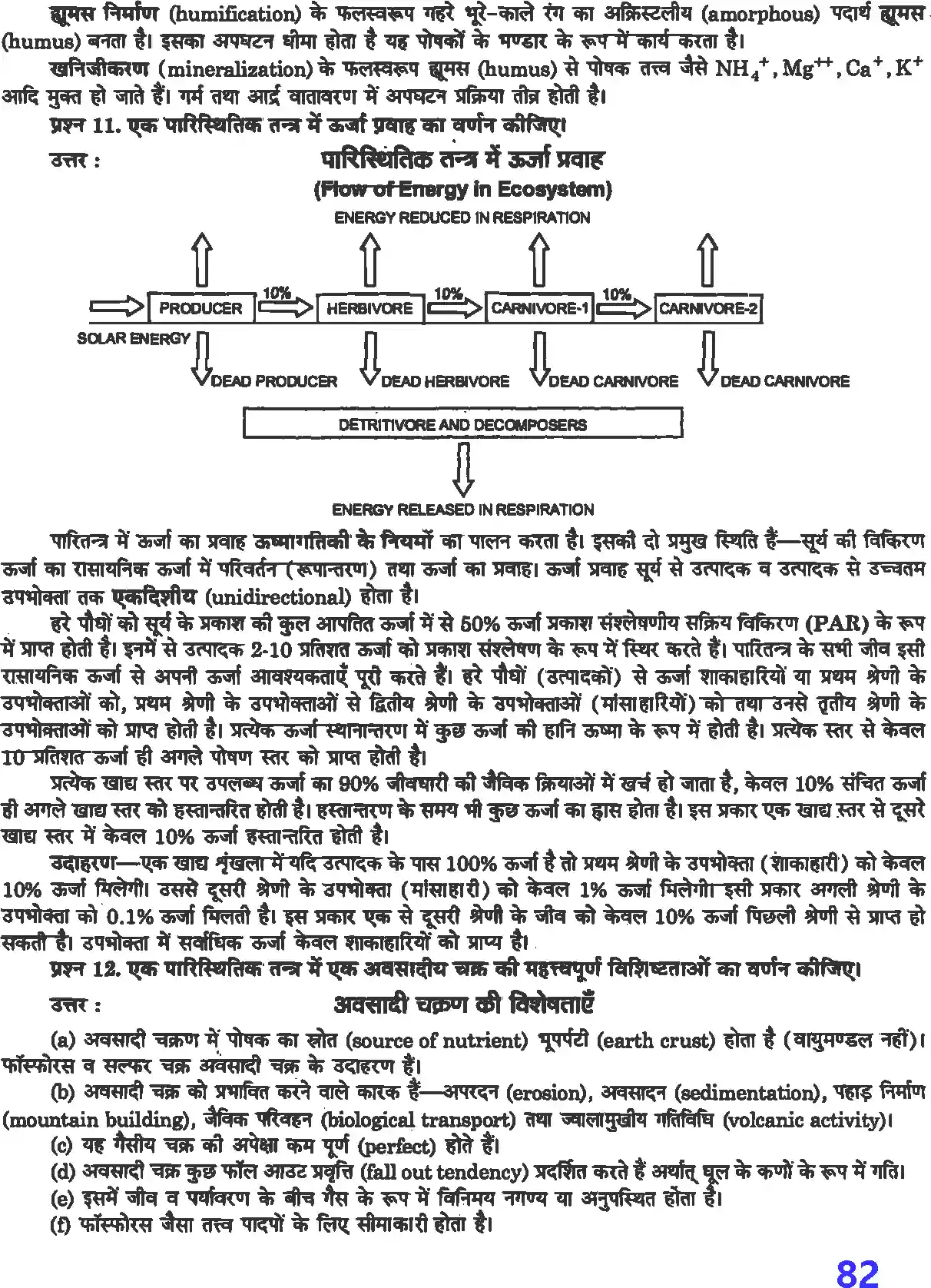 UP Board Solution 12 Biology 14. पारितंत्र Image 6