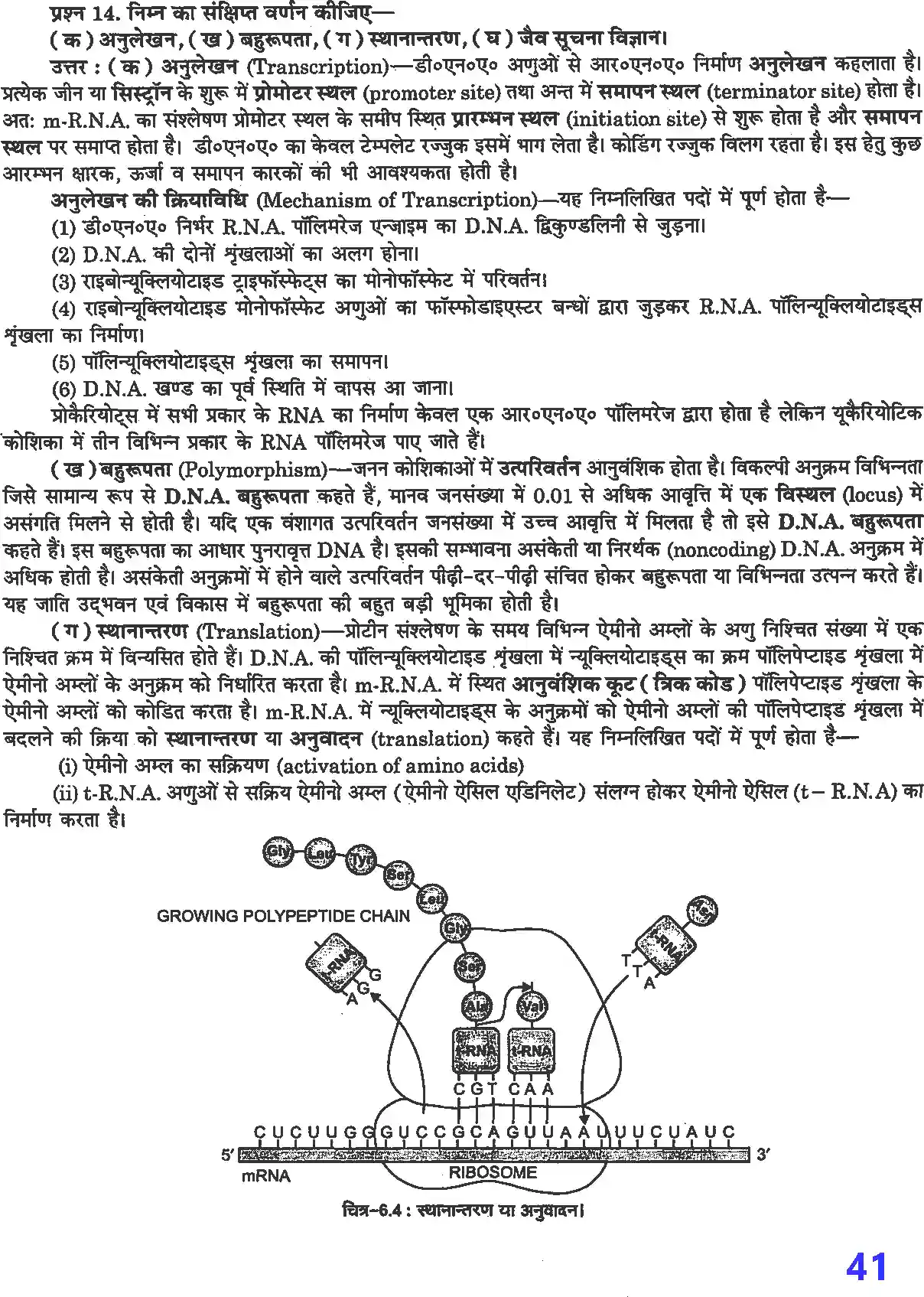 UP Board Solution 12 Biology 6. वंशागति के आण्विक आधार Image 7