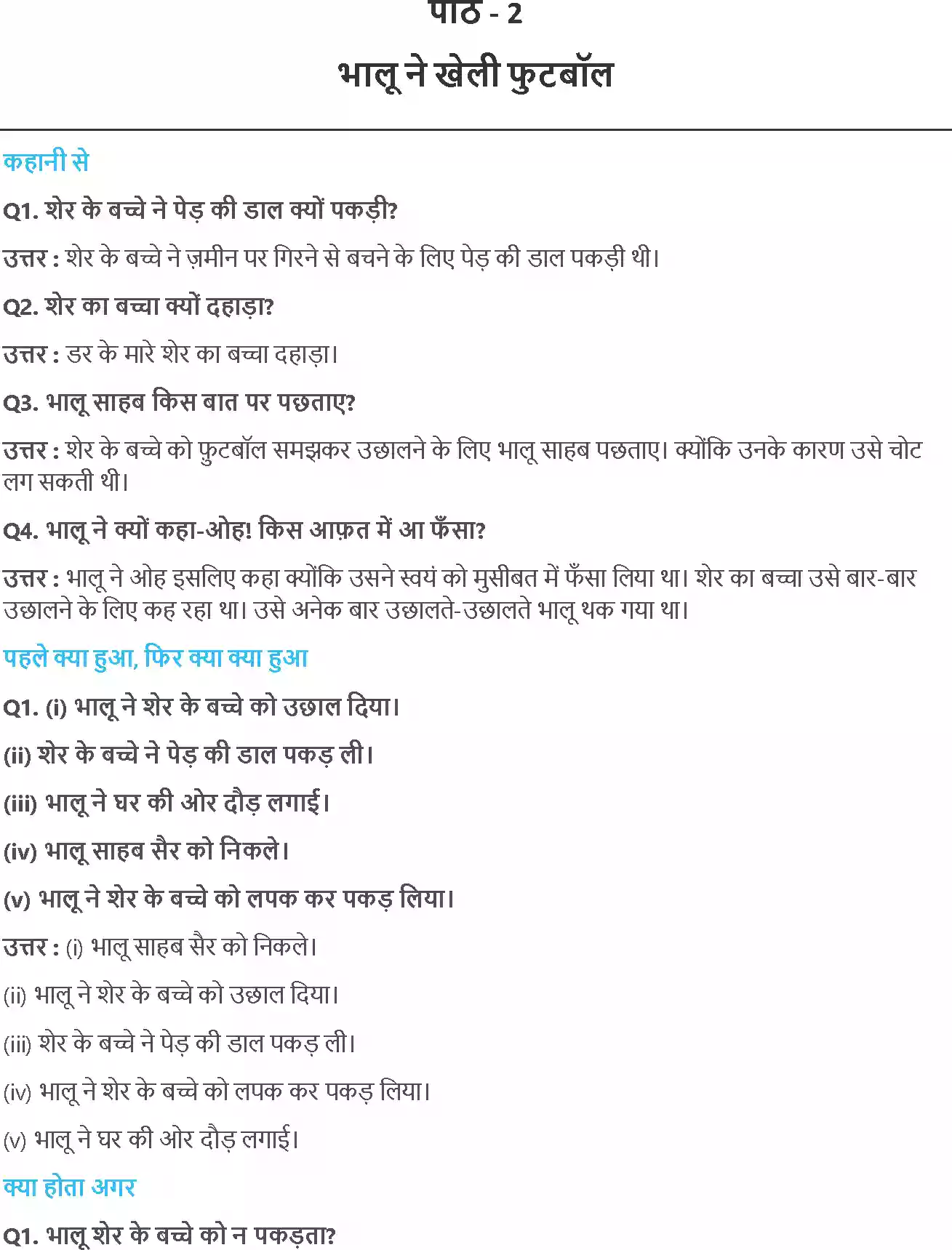 UP Board Solution 2 Hindi 2. भालू ने खेली फुटबॉल Image 1