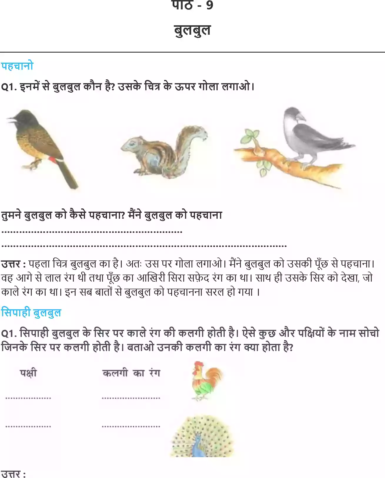 UP Board Solution 2 Hindi 9. बुलबुल Image 1
