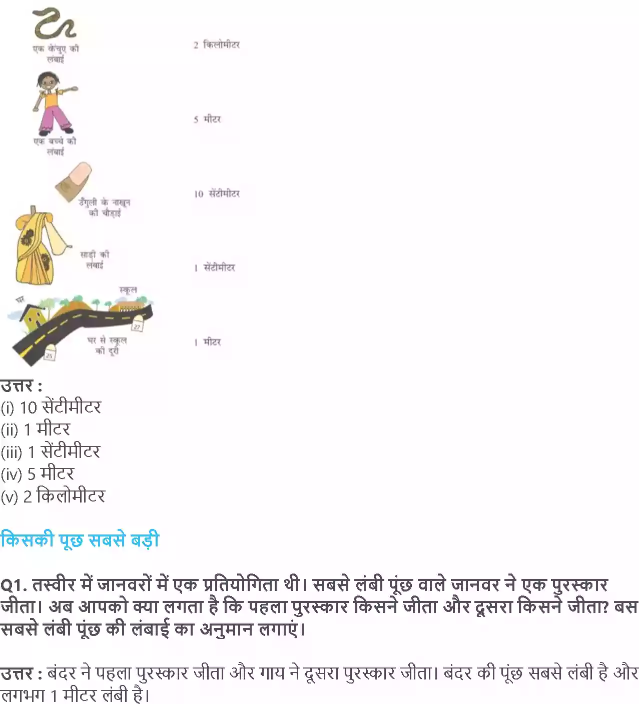 UP Board Solution 3 Maths 4. क्या लंबा क्या छोटा Image 5