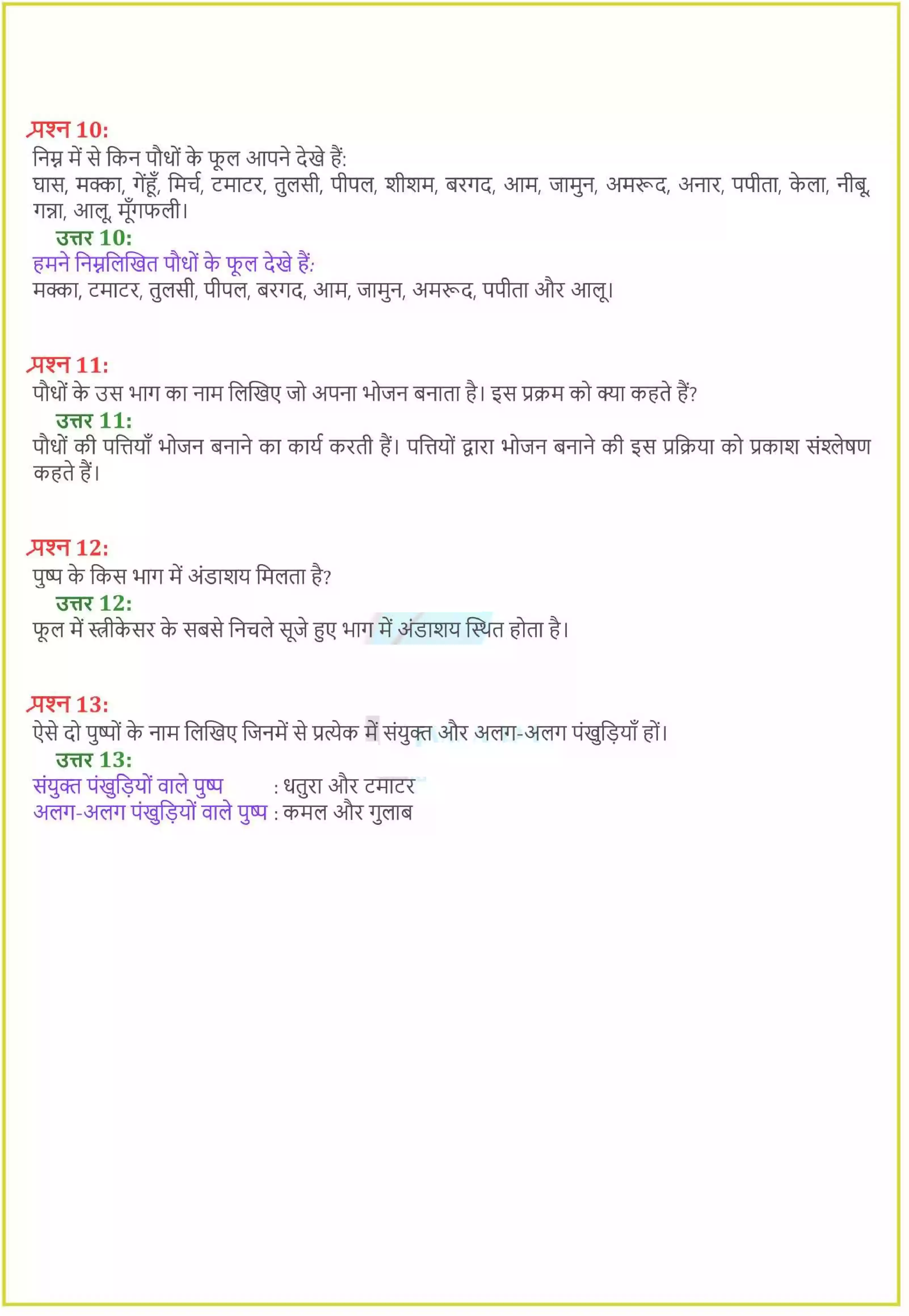 UP Board Solution 6 Science 7. पौधो को जानिए Image 3