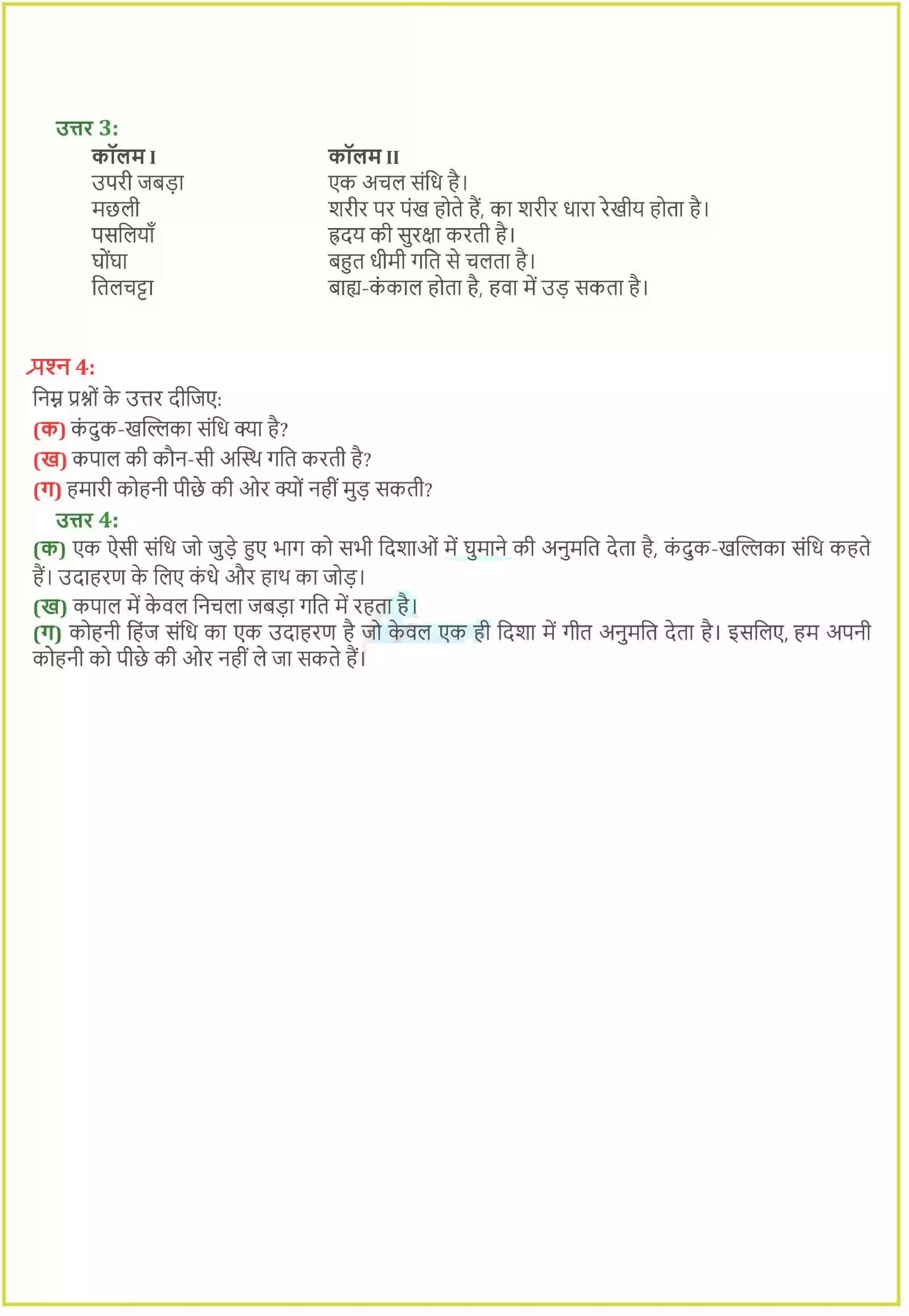 UP Board Solution 6 Science 8. शरीर में गति Image 2